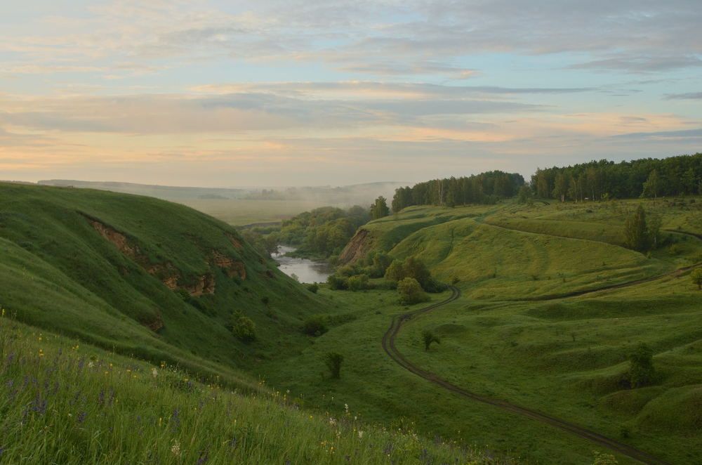 Июньское утро. После восхода