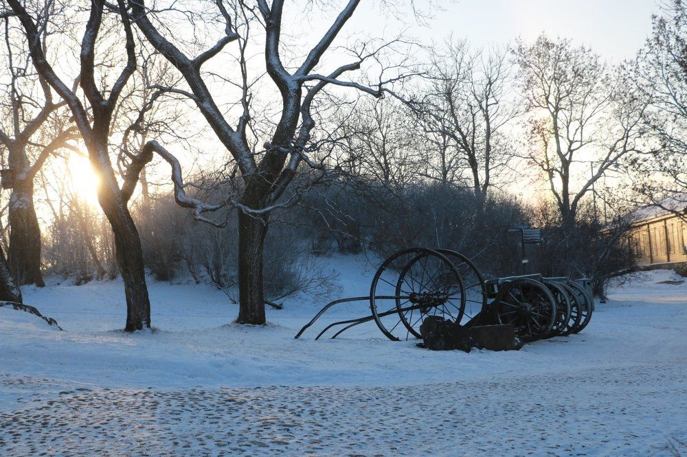 Photograph by Арутюнян Ануш