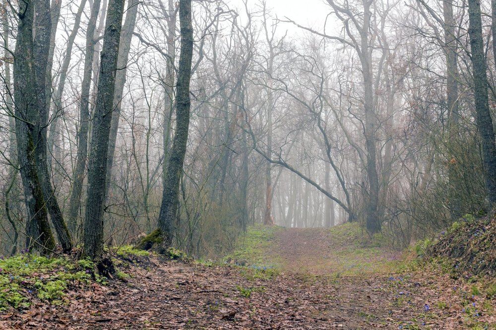 В начале весны..