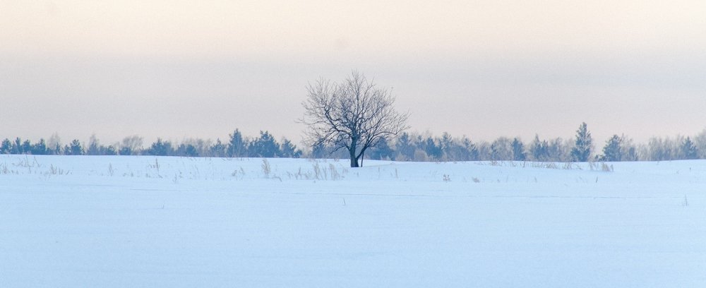 Олиночество