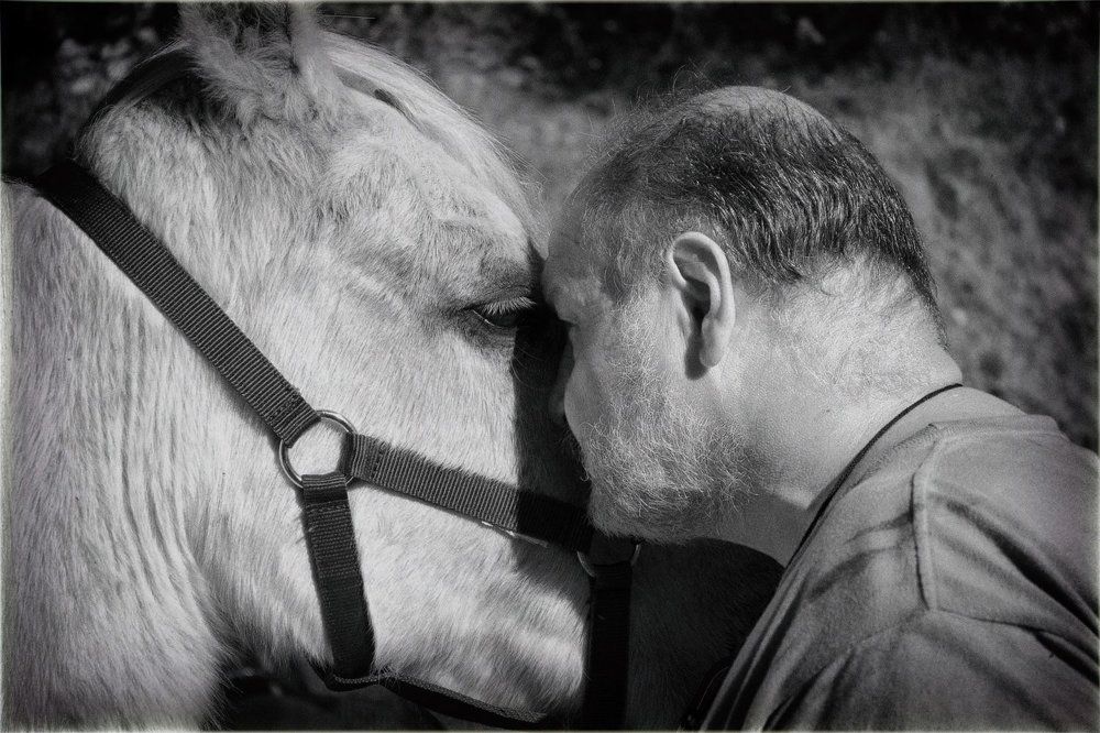 Viejos amigos/ Старые друзья