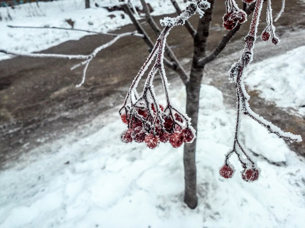 Photograph by Михаил Кобелюк