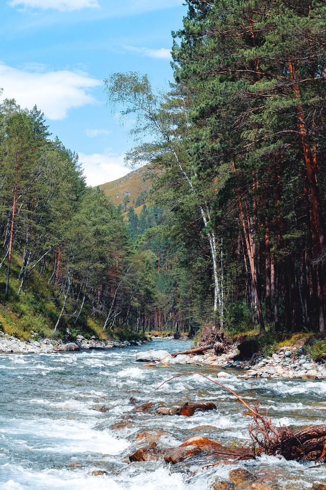 Бурлящая дорога»