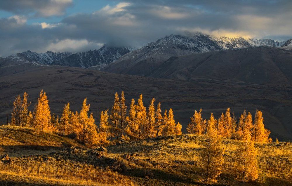 Осень в горах Алтая
