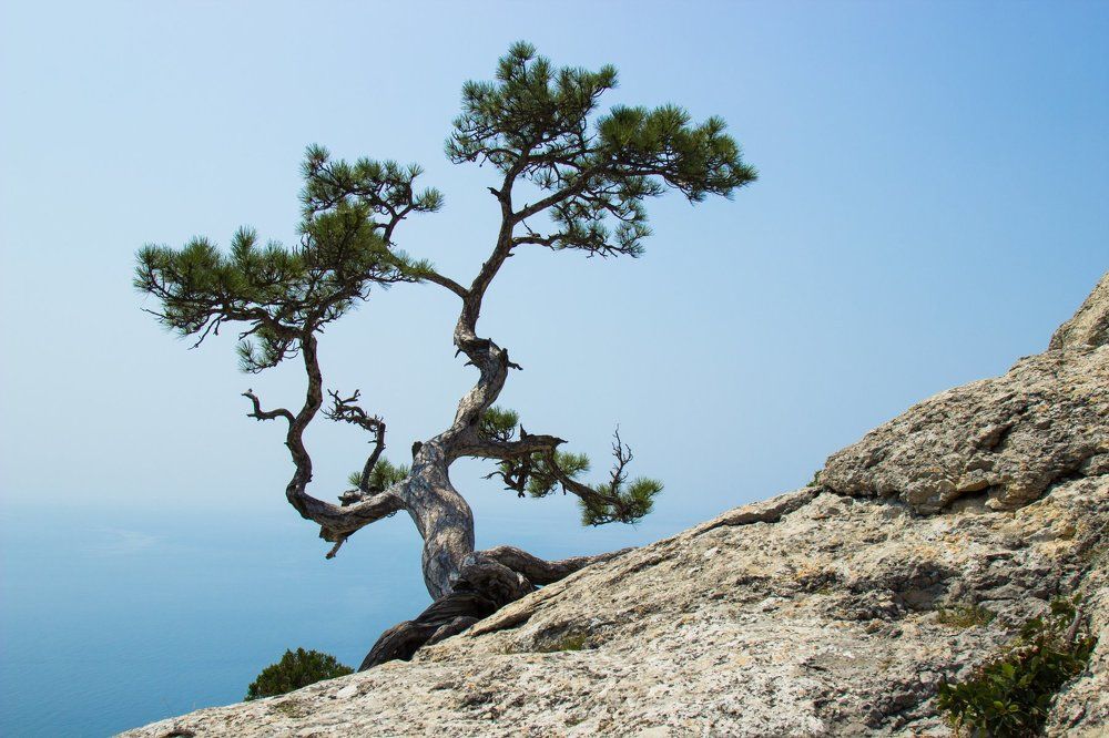 Крым. Пик Космос.