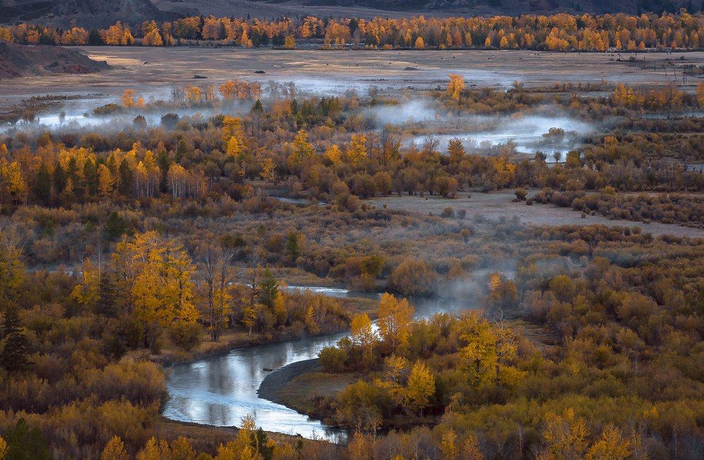 Чуйский оазис.
