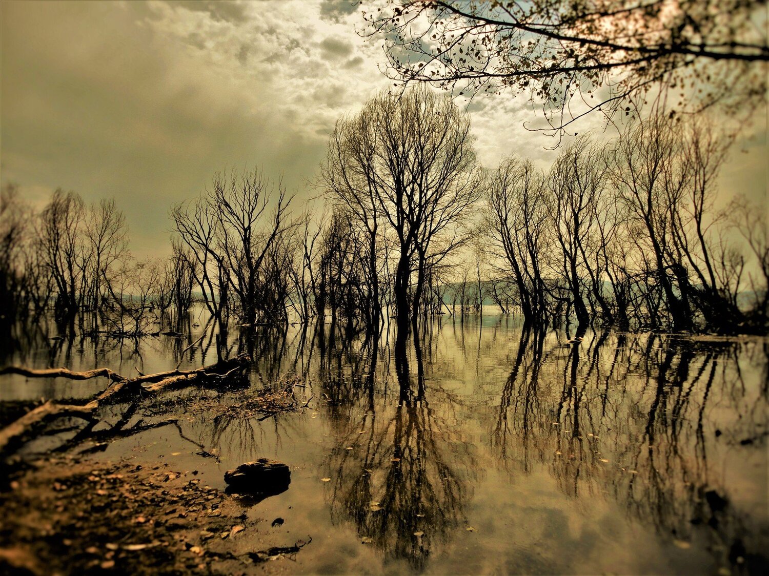 Doirani Lake