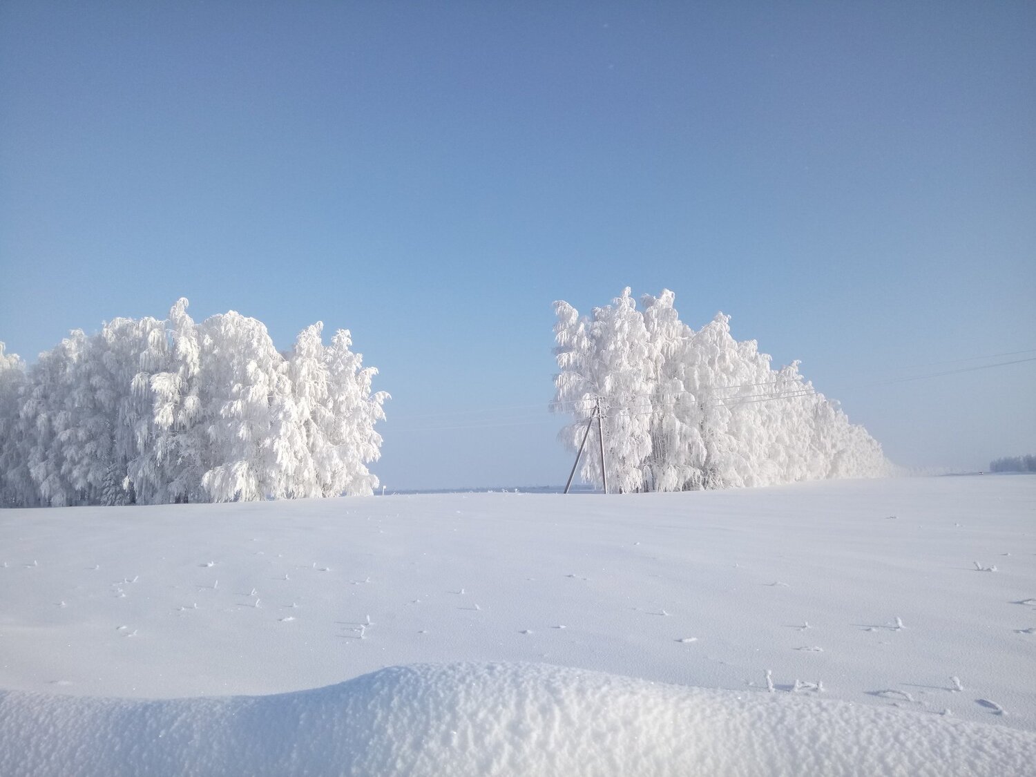 Зимний день