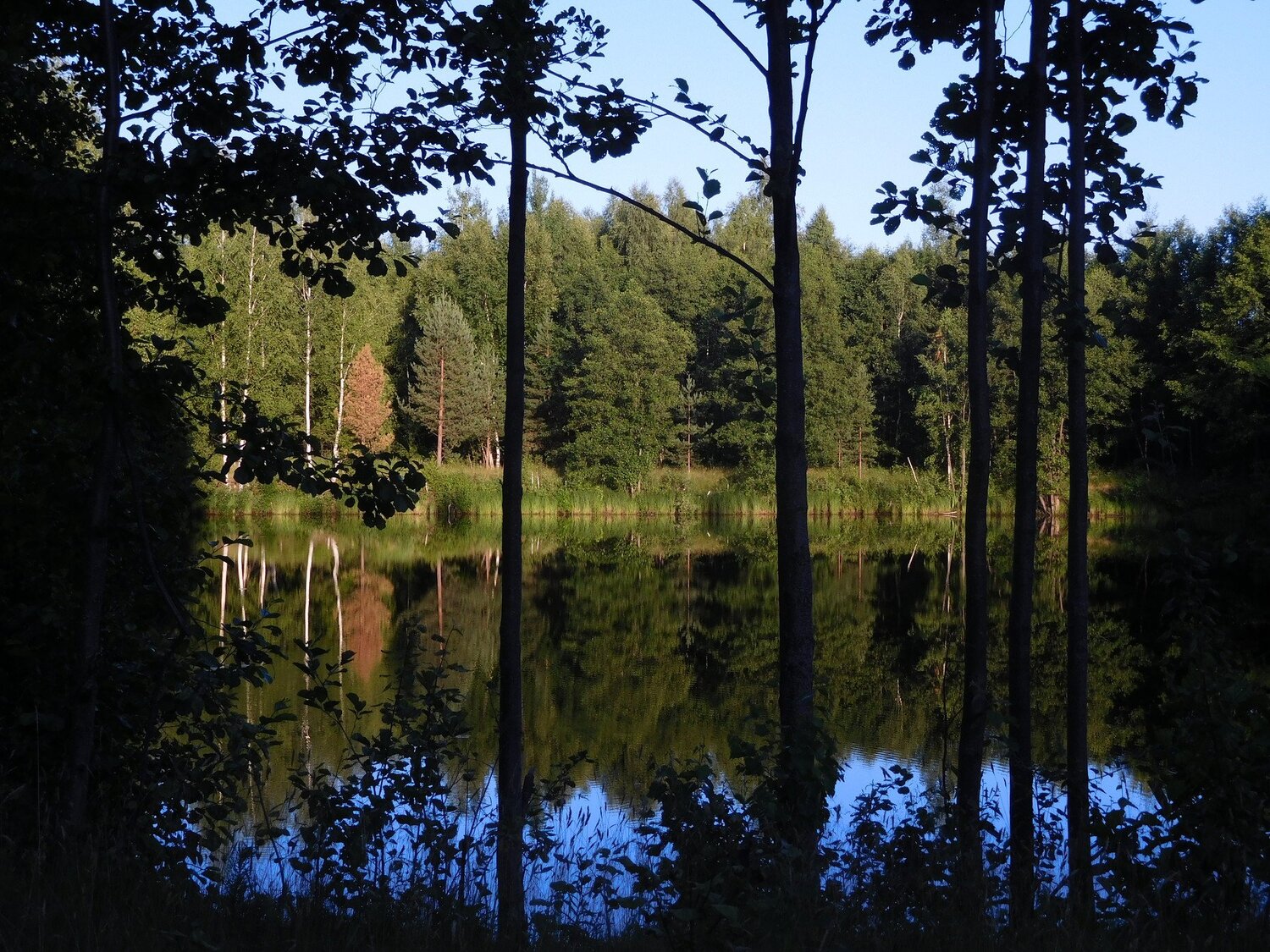Photo #1640501