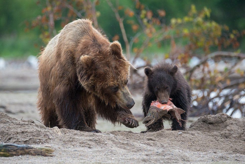 Все лучшее - детям!