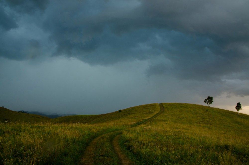 Перед грозой