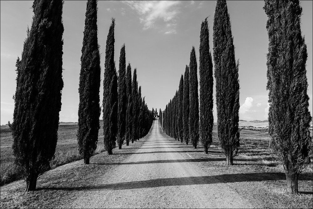 Дорога домой