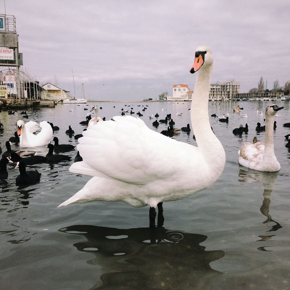 Без названия 3.