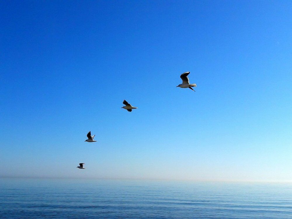 Caspiansea,ramsar,mazandaran,iran