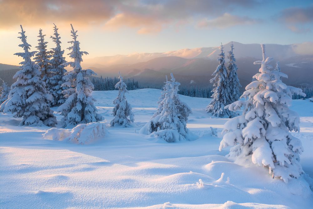 Зимняя сказка