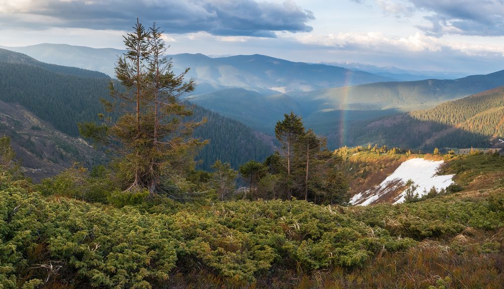 После дождя