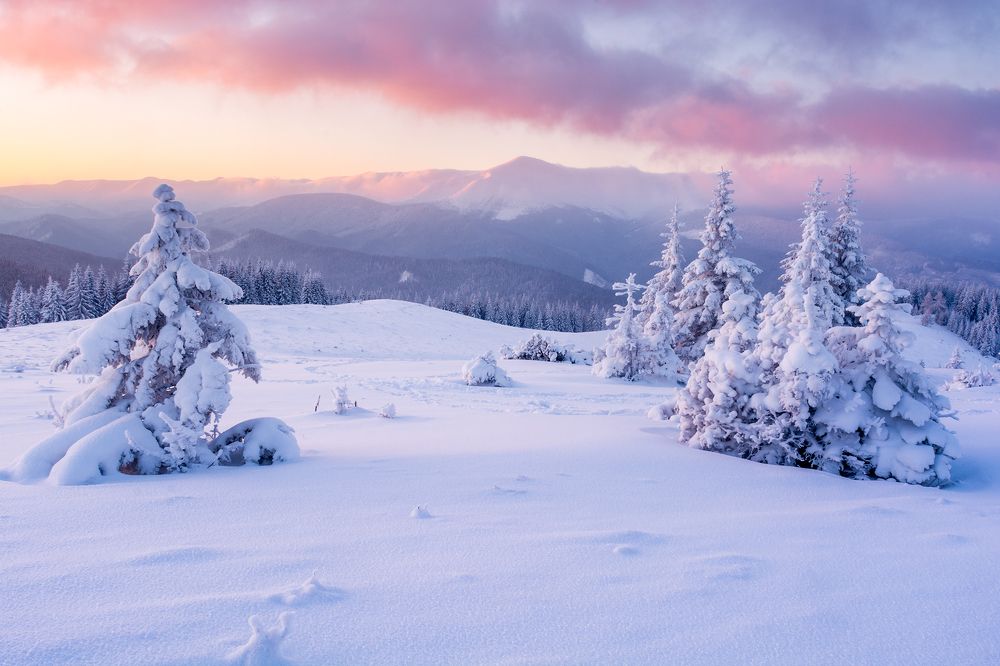 Розовое настроение