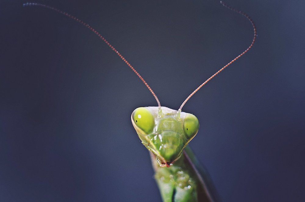 Он явно что-то знает!