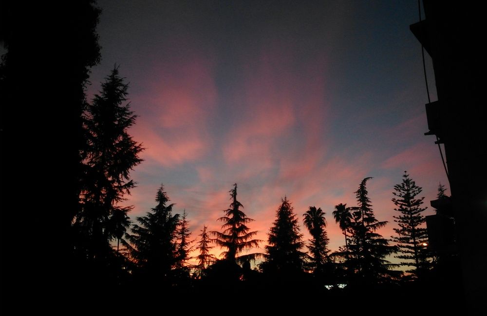 ramsar,mazandaran,iran