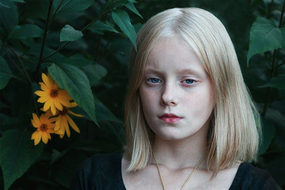 Топинамбур