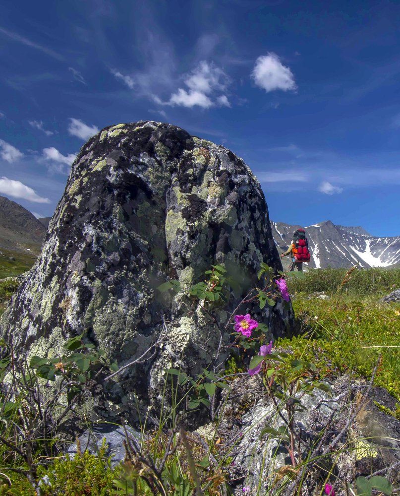 Путь к вершине