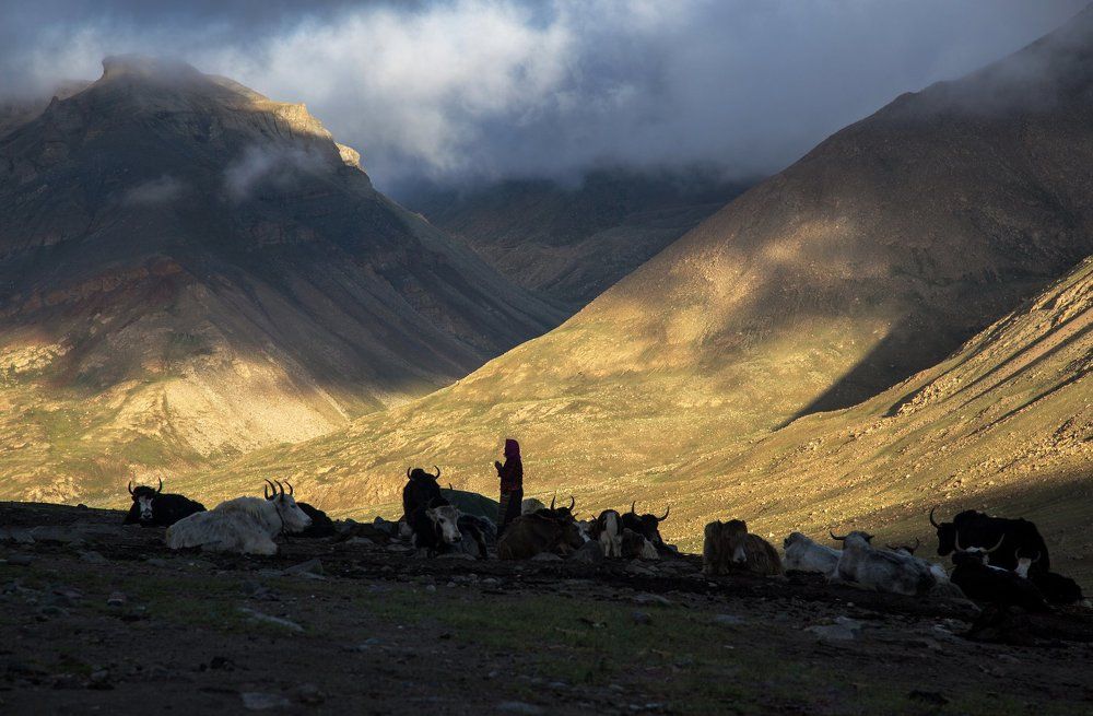 Сила простоты