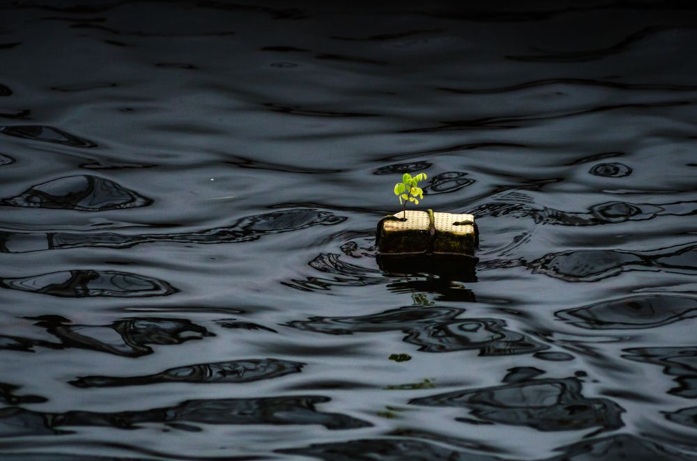 Жить - значит бороться! Главное верить в себя!