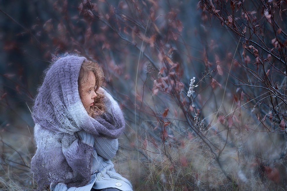 Черничная осень