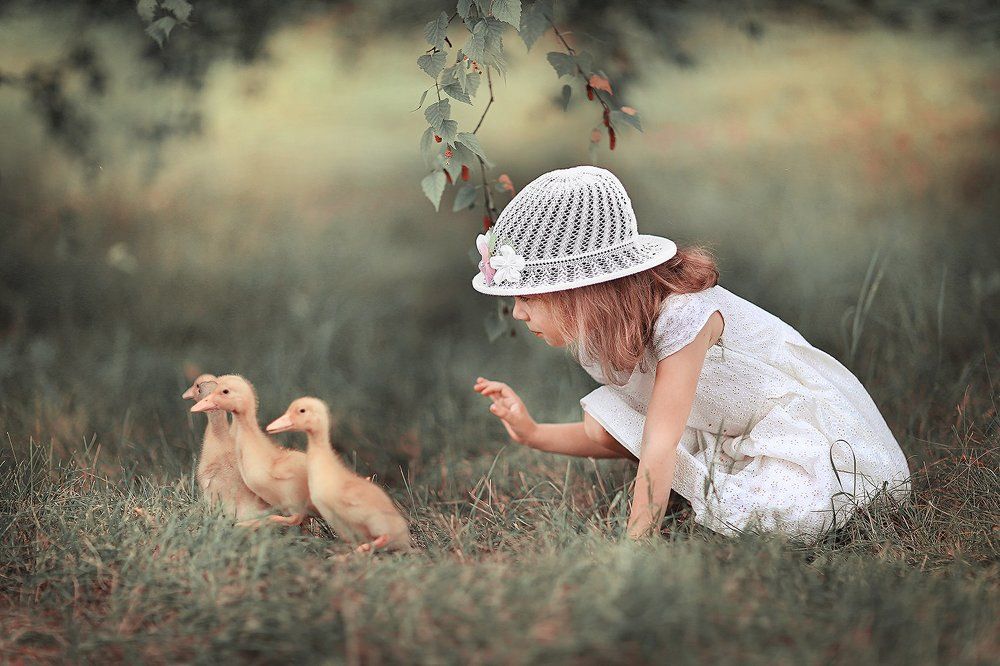 Охота на уток