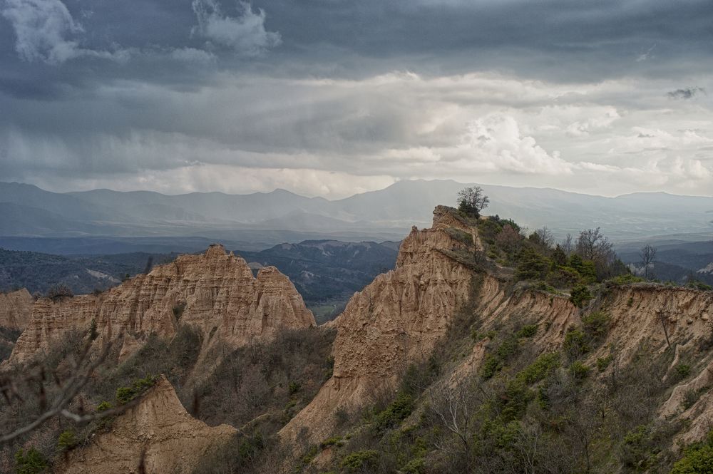 The only one left...