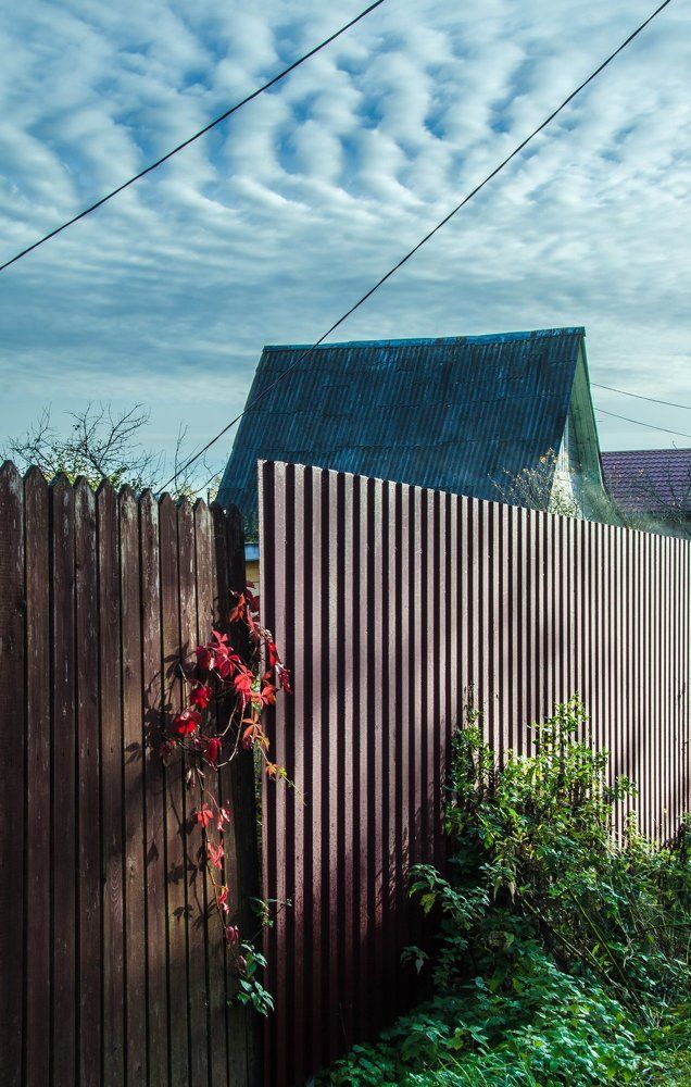 Ребра и полоски