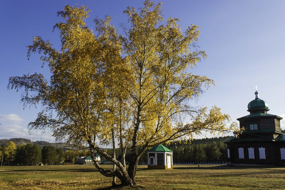 Осеннее настроение