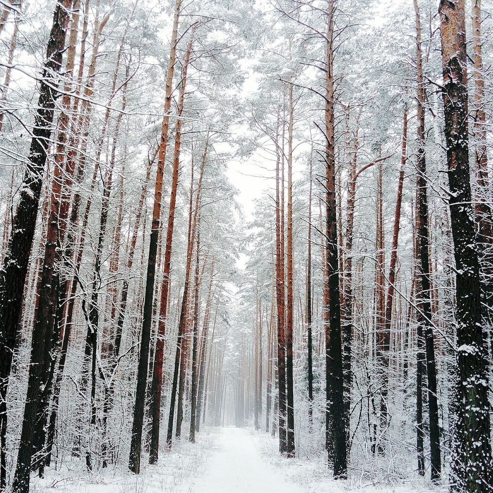 Прекрасное рядом