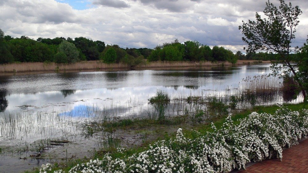 Photograph by Станислав Набивачев