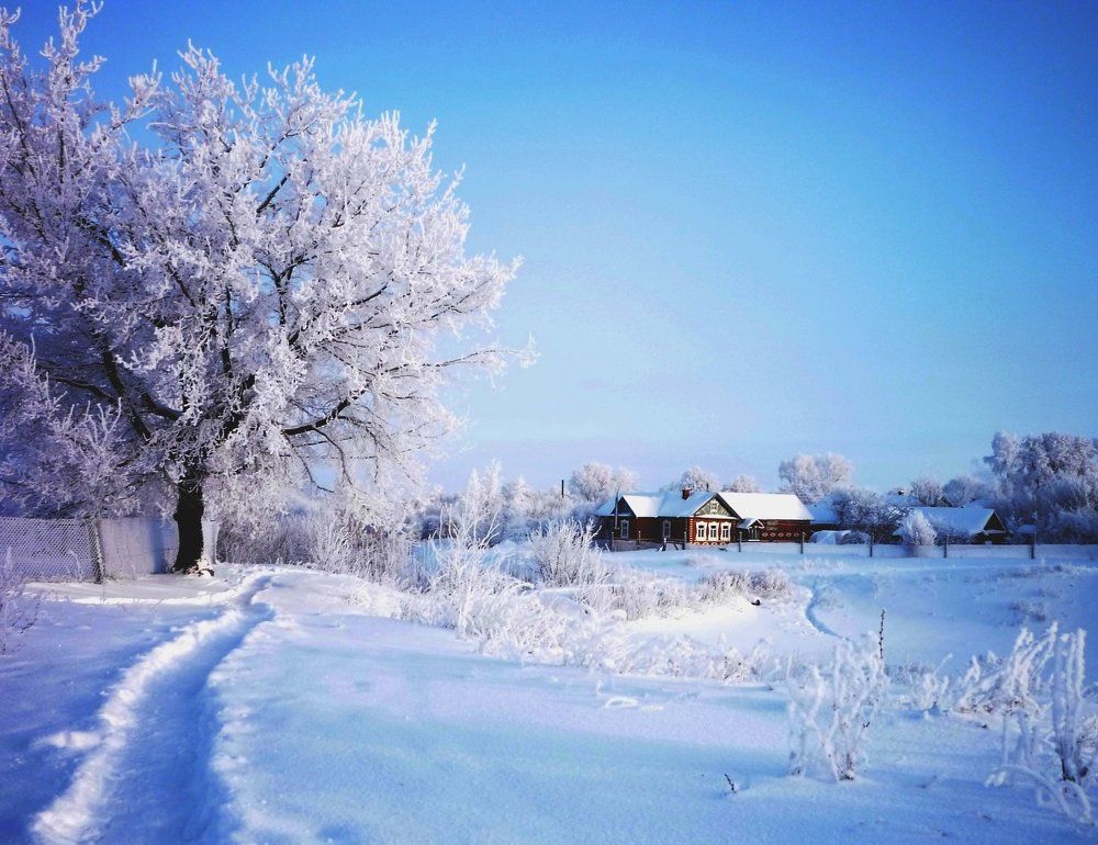 ЗИМНИЙ ДЕНЬ