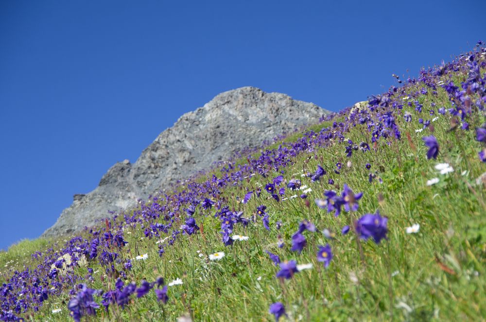 Диагональный мир