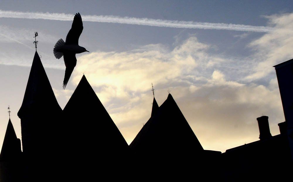 от заката до рассвета