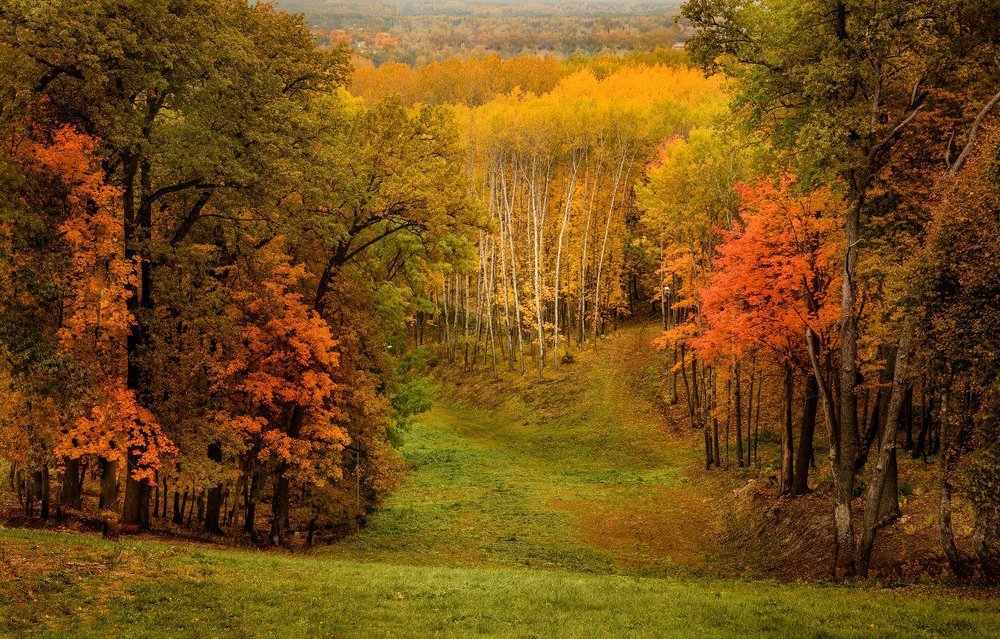 Брянск(Курган Бессмертия)горнолыжный склон
