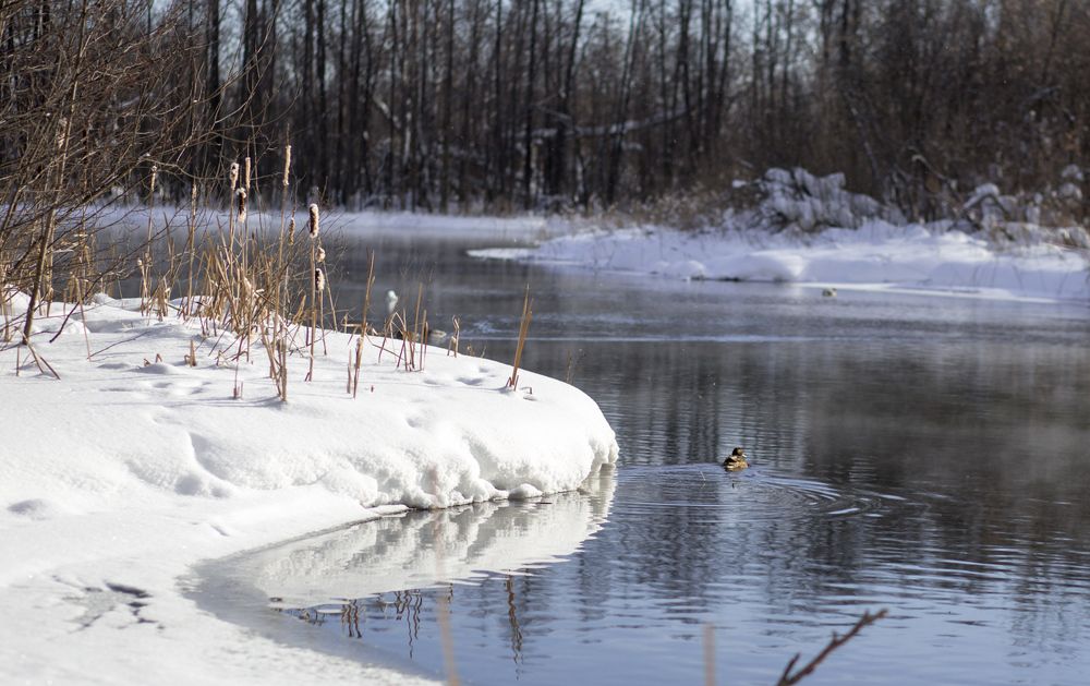 Голубое озеро в Татарстане