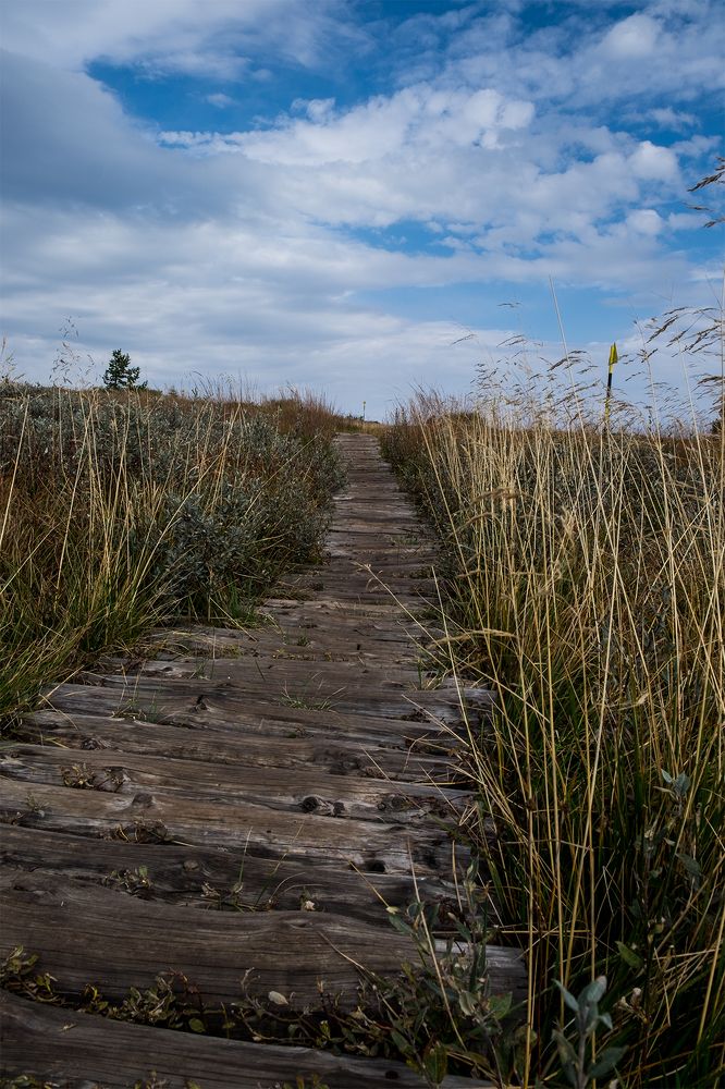 Путь к верху