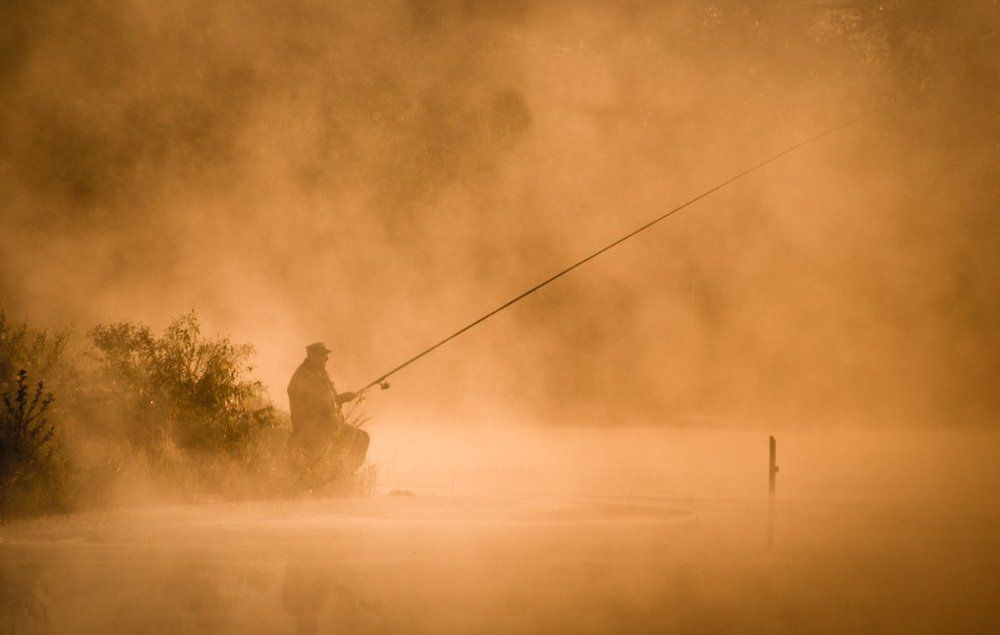 Утро на пруду