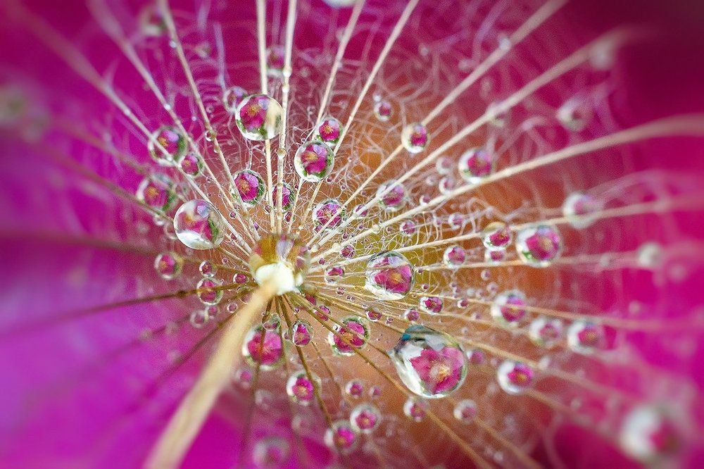 В маленькой капле