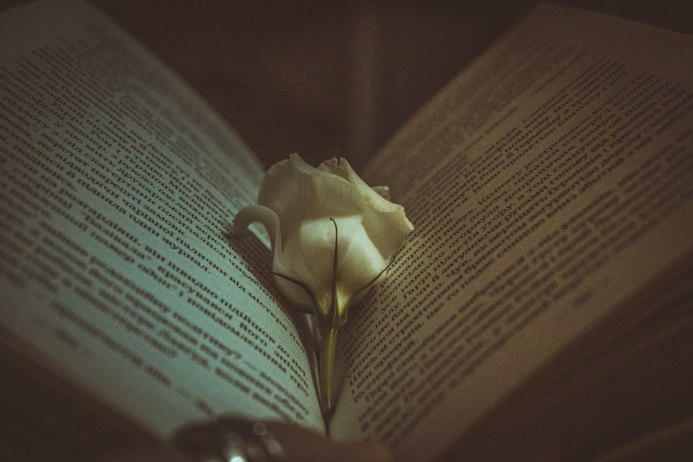 Photograph by Марина Титова