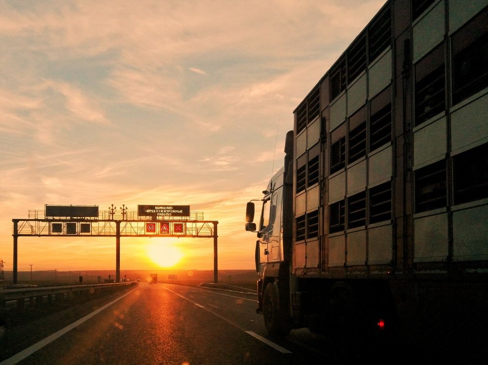 Трасса и закат