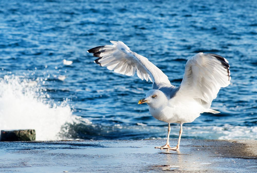 Всем новых взлетов!