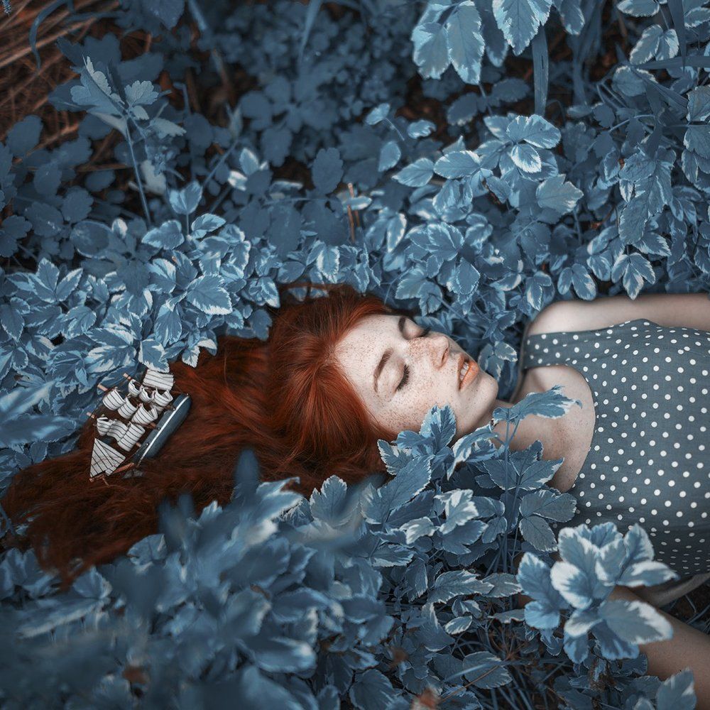 Исчезнувшая мечта