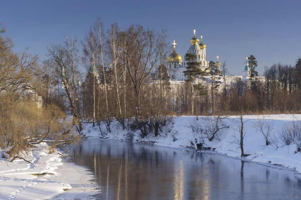 Чудесный день на берегу реки