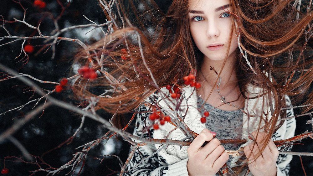 Зимние ягоды