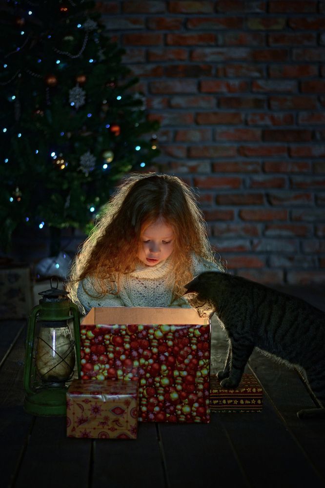 В новогоднюю ночь...