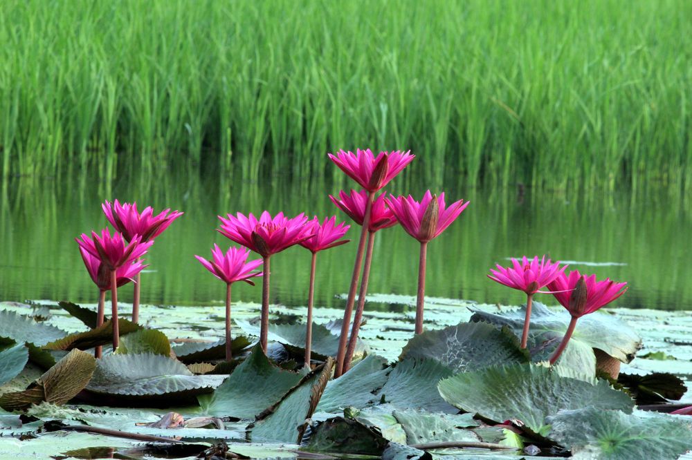 Beauity of Nature....